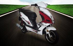 HAMACHI ITRAX - 50