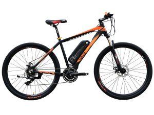 VIPER E-BIKE 29 XC - H