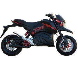 Hamachi E-RACER