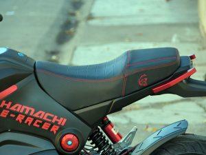 Hamachi E-RACER
