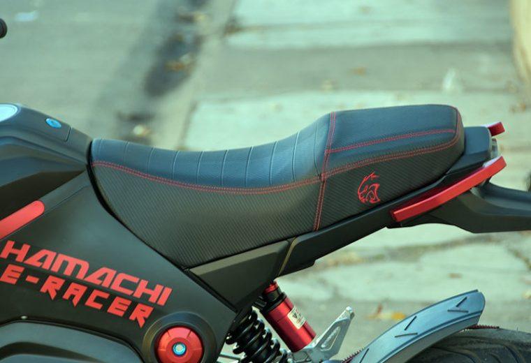 Hamachi E-RACER