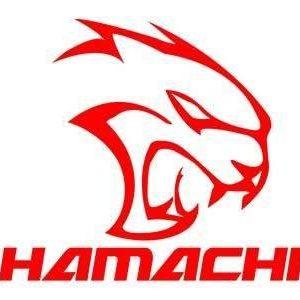 HAMACHI