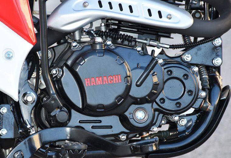 HAMACHI HM 300 C5D