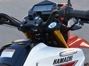 HAMACHI HM 300 C5D